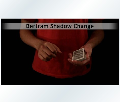 2011_创新变牌教学_Mystery_Mark_-_Bertram_Shadow_Change 图1