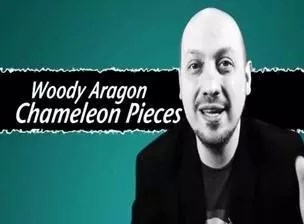 2014 碎片变幻 Chameleon Pieces by Woody Aragon