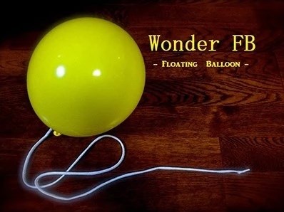 2014 Wonder Floating Balloon 神奇氣球飄浮 图1