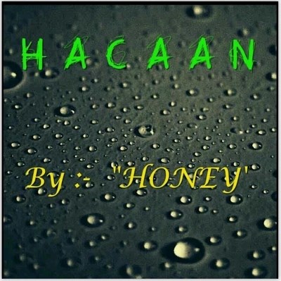 2014 印度巴格拉斯教学 HACAAN by Honey