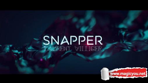 2016 SNAPPER by Laurent Villiger